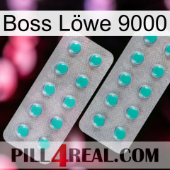Boss Löwe 9000 29